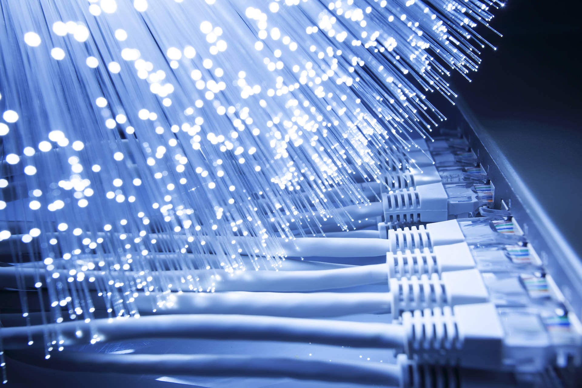Développeur C++ H/F